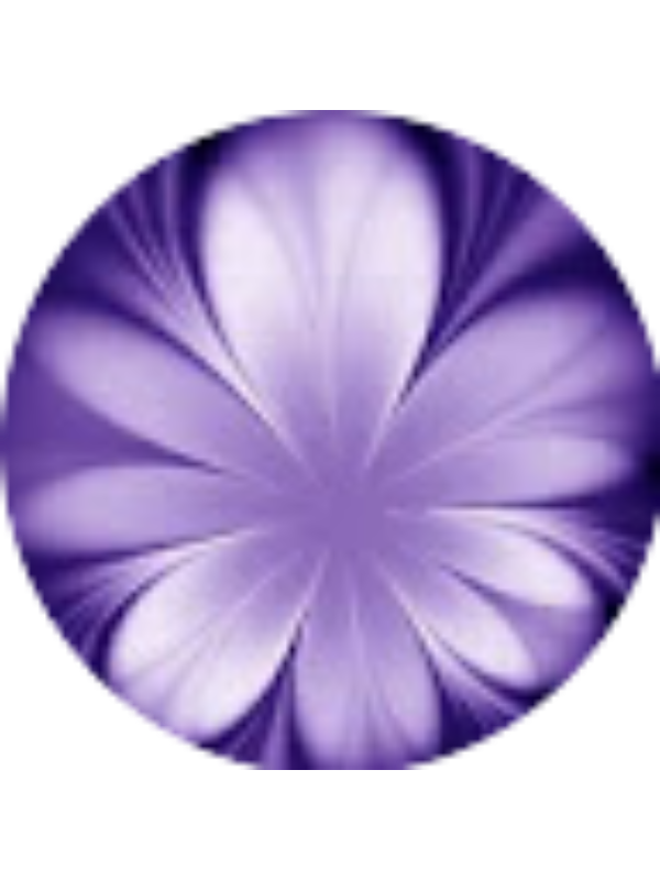 Photo of School Kuwait