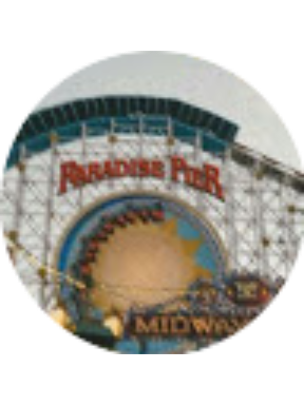 Photo of Irina Soltan