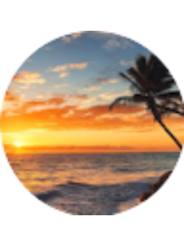 Photo of Angelica Navarro