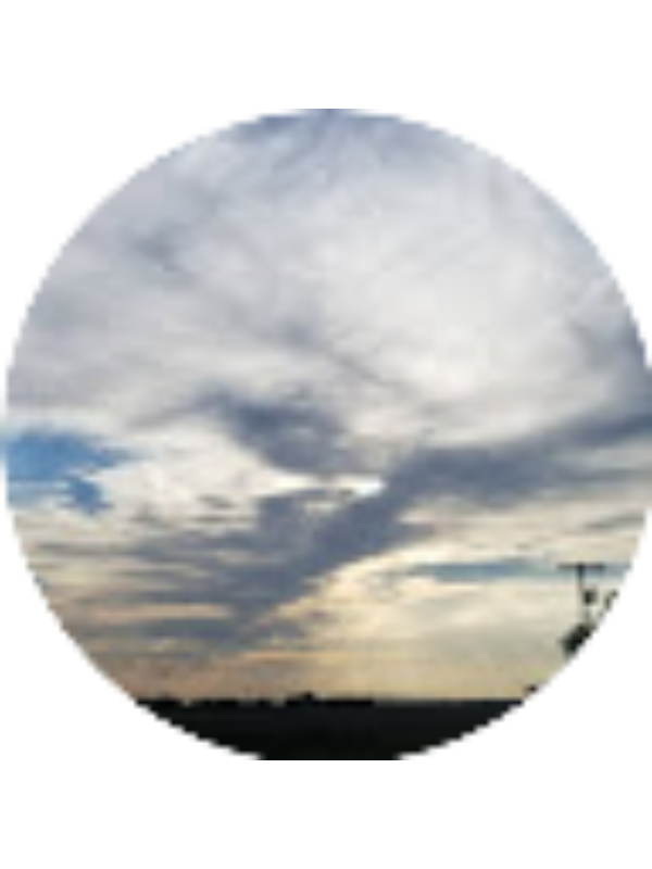 Photo of Karen R. Pino Solis