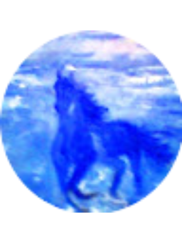 Photo of Sabina Rahimova