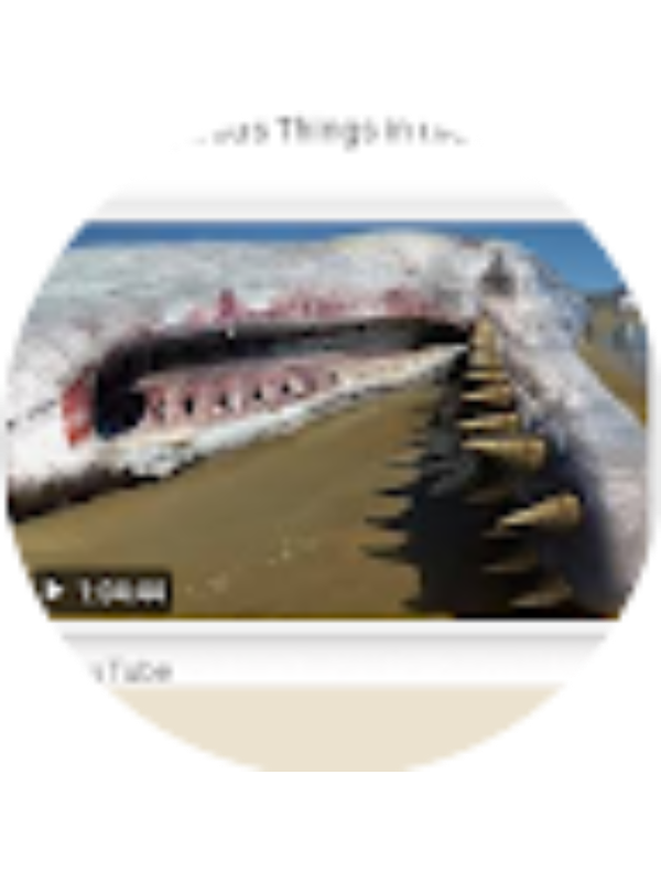 Photo of Teigan Gray