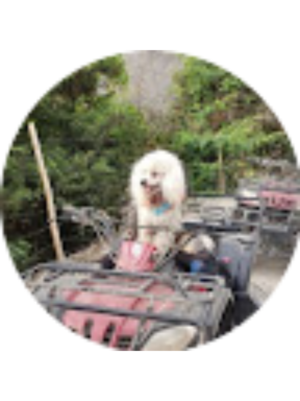 Photo of Sheila Roque