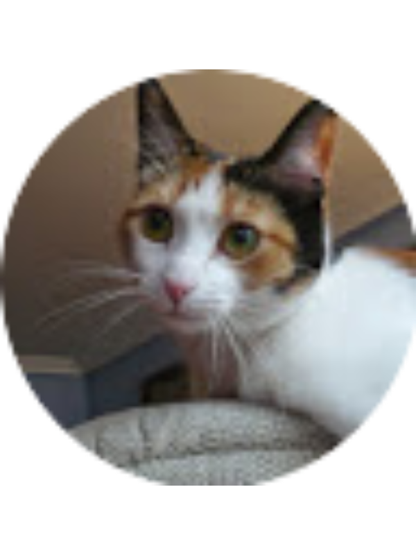 Photo of MADDI URDAPILLETA RODRIGUEZ