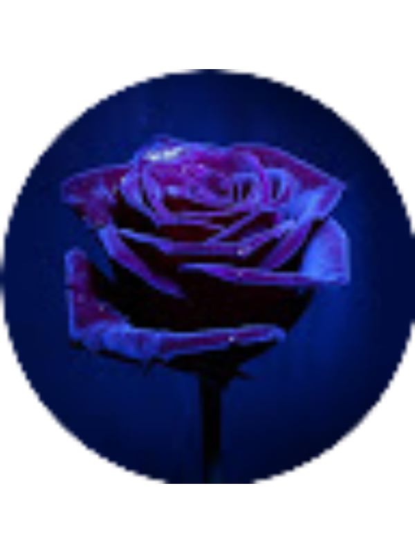 Photo of Avigayl Linde