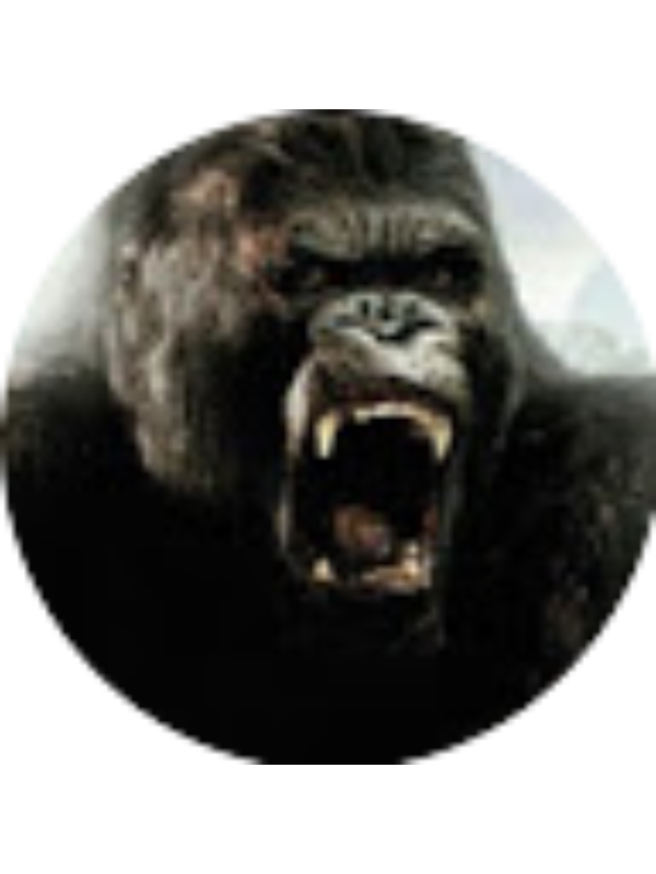 Photo of Aiden Judkins