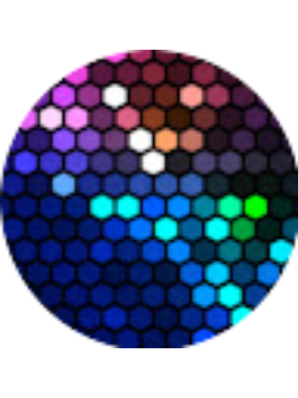 Photo of Dina Croitoru