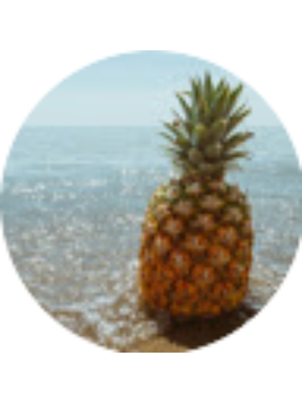 Photo of Haley Reavis