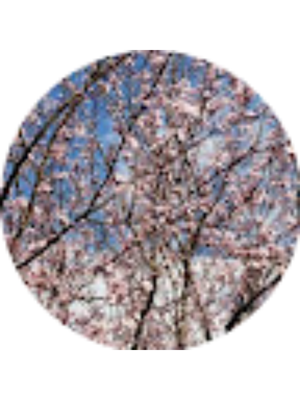 Photo of Melina Meletlidou