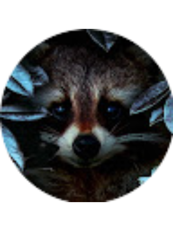 Photo of Anastasia Osmakova