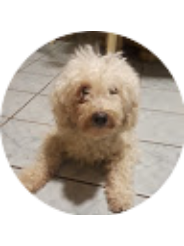 Photo of Denise Galeno