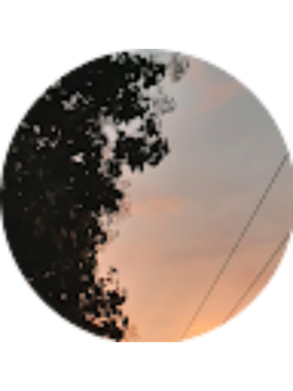 Photo of 0065 Ni Putu Milla Supita Sari