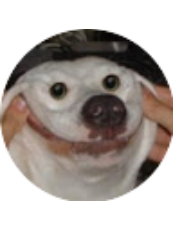 Photo of ALLISON METTER