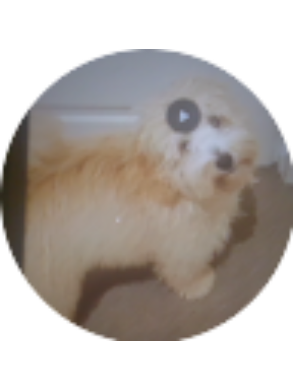 Photo of Andr&eacute;s David Mendez Perez