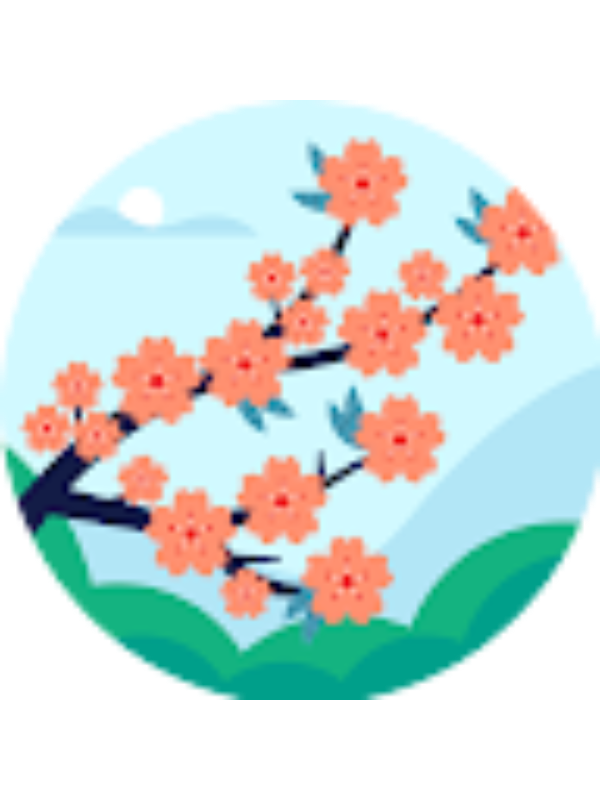 Photo of Евгения Демина