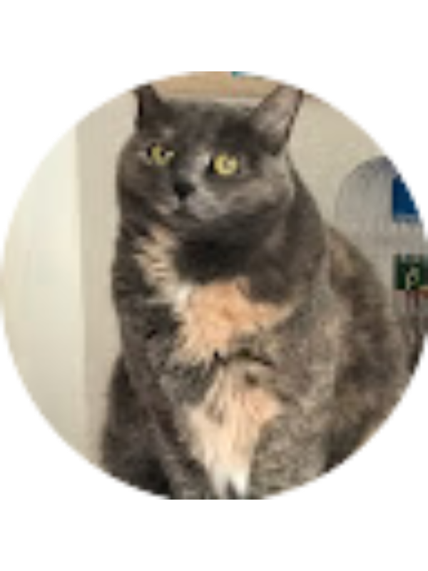 Photo of Kayleigh Hendy