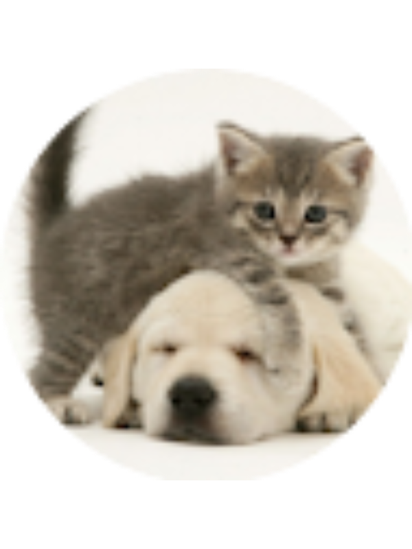 Photo of Emma Zrostlik