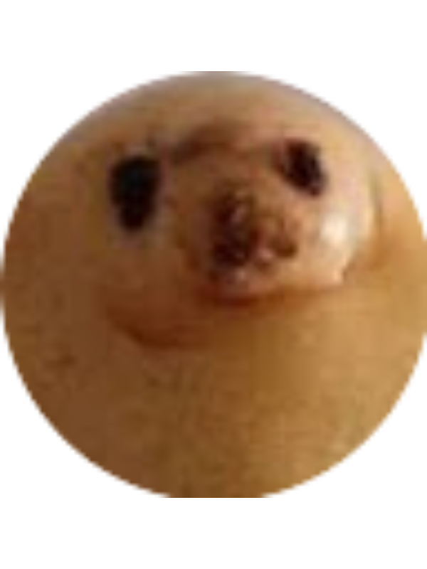 Photo of LUIS GABRIEL NUNES