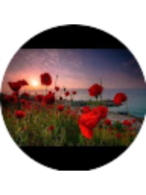 Photo of Marina Cologhin