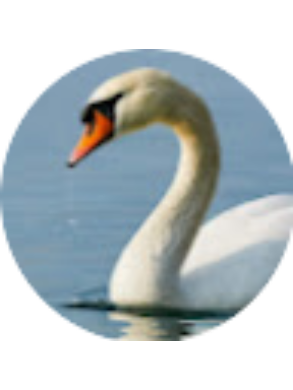 Photo of Benjamin Roso