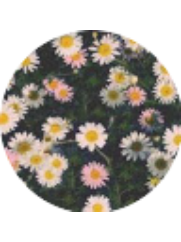 Photo of Diah Astri Astuti