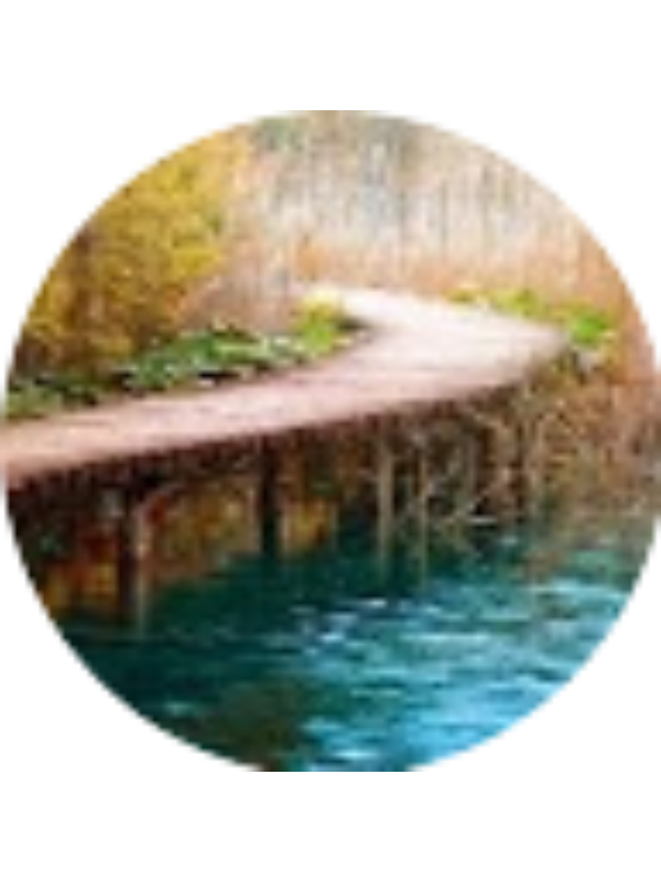 Photo of Mehmet ACAR