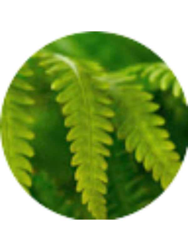 Photo of Mikayla Thorpe