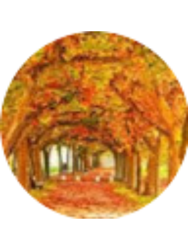 Photo of Haylee Jewkes