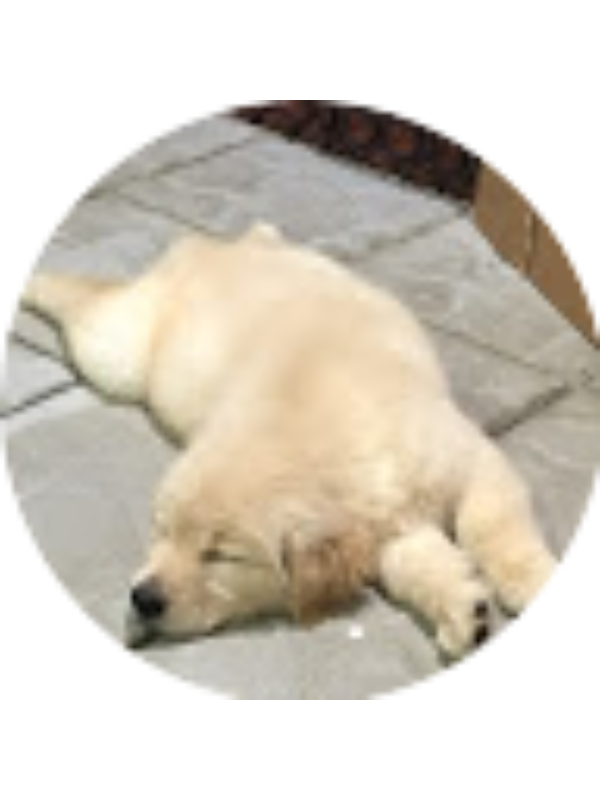 Photo of Clarice Wong