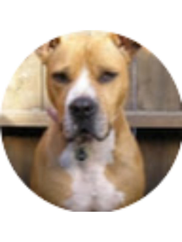 Photo of Cadence Foster