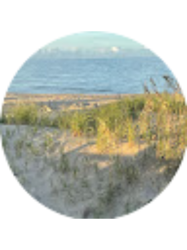 Photo of Reese Wilson