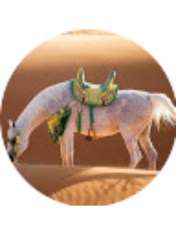 Photo of Riley Smith