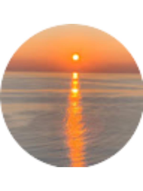 Photo of Fatma Üzer