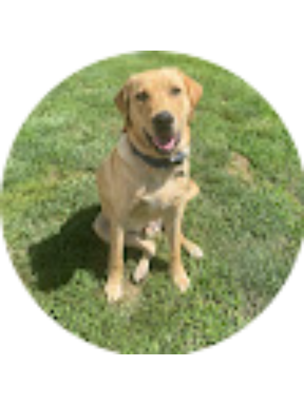 Photo of Margaret Baldwin