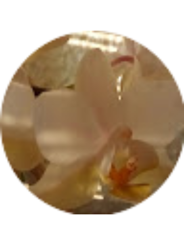 Photo of Helena Fisher