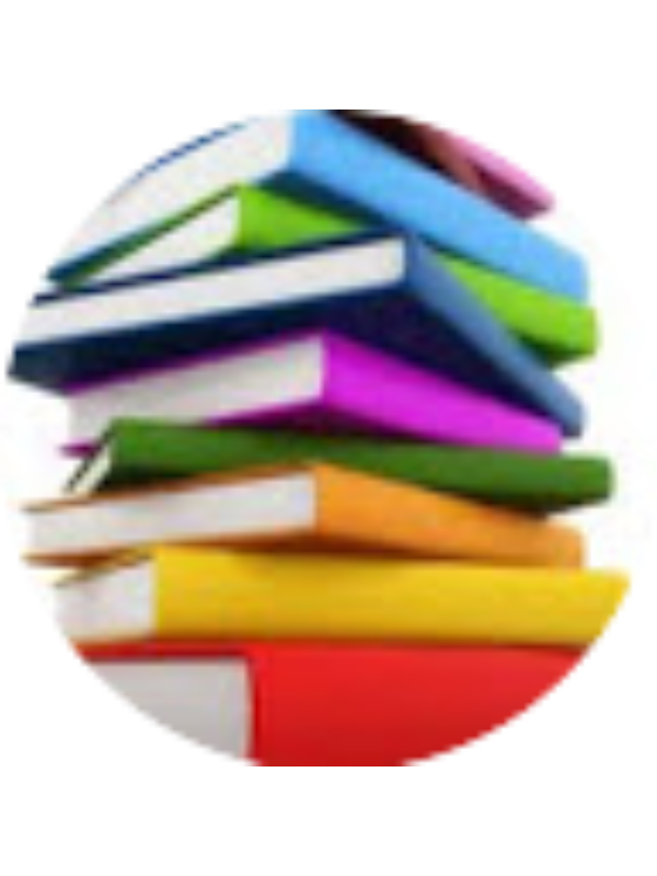 Photo of Cristina de Jesus Vinhas Maia Go | AE Carlos Amarante