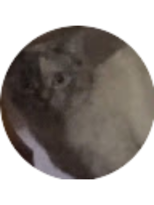 Photo of Юлия Мацелевич