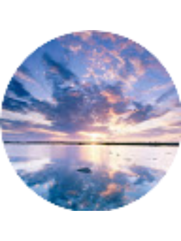 Photo of Camryn Maxon