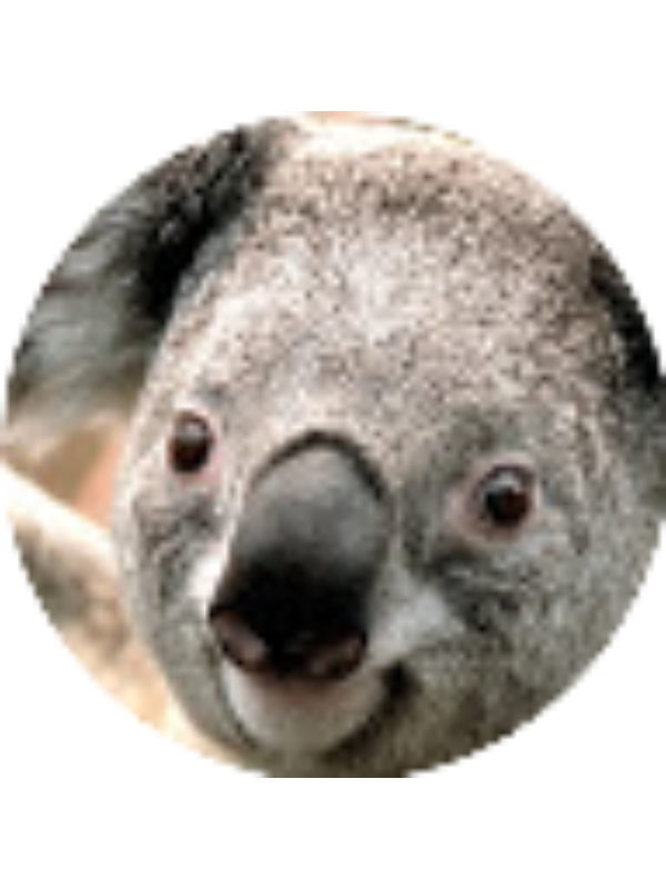 Photo of 2020 Valentina Romeo