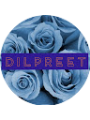 Picture of Dilpreet Grewal