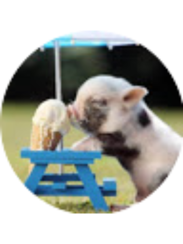 Photo of LANIE CAWLEY