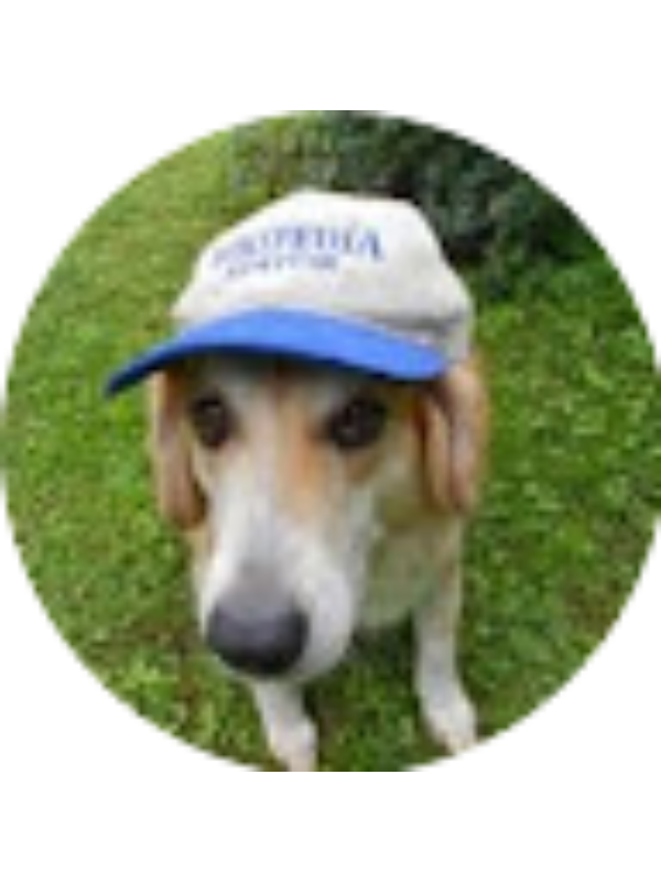 Photo of Arush Lagudu