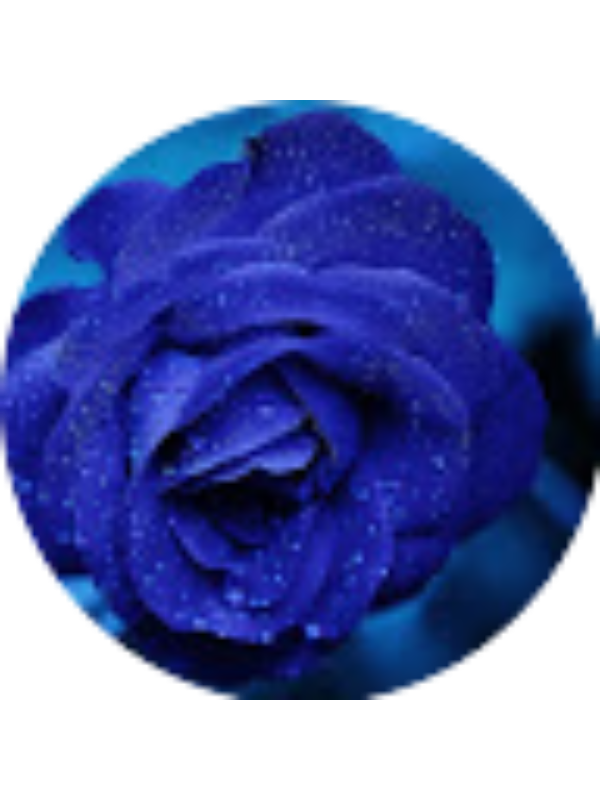 Photo of Brianna Petitt