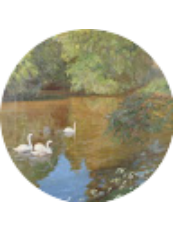 Photo of vanessajimenez659