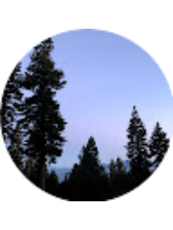 Photo of Emma Cruthirds