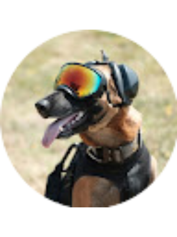 Photo of DAMION HERNANDEZ