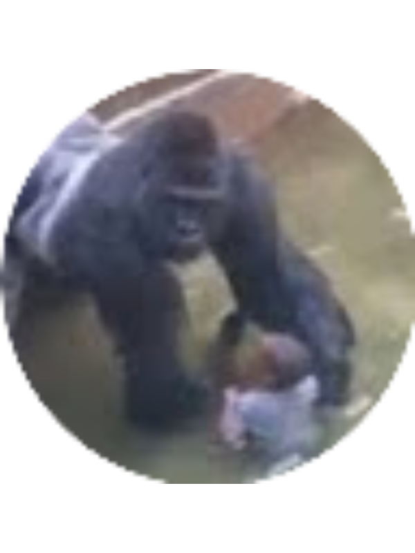 Photo of Marvin Brown