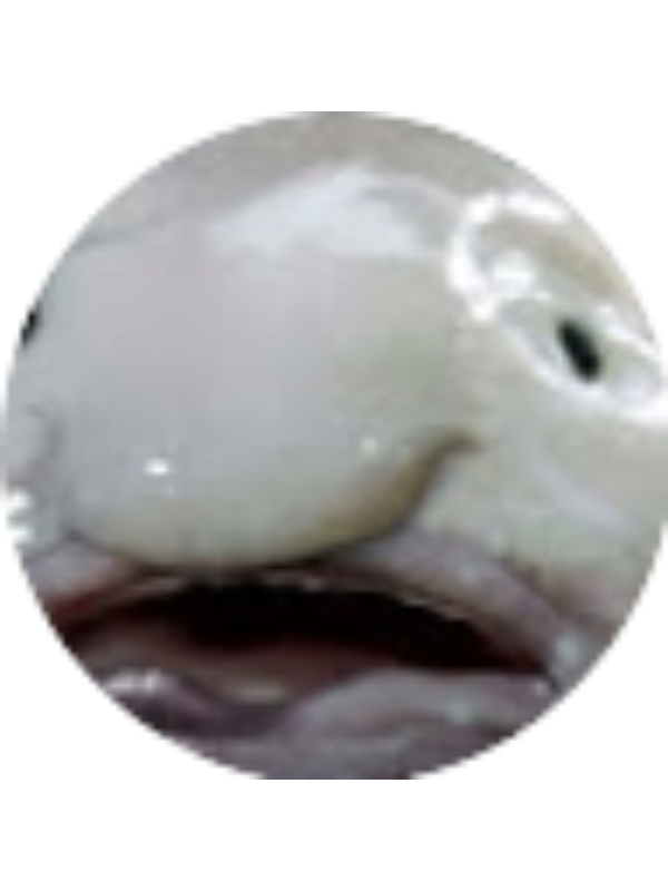 Photo of Benjamin Boboc