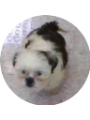 Picture of Allison Lopez