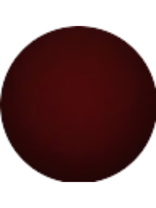 Photo of Wilmer Caballero